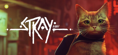 Stray